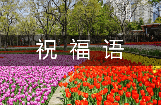 2025文雅诗意生日祝福语（最新241句）