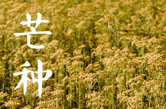 芒种是几月几日2025
