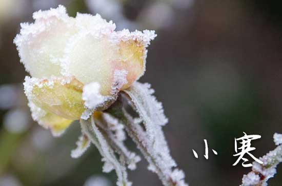 小寒节气民俗 小寒各地的生活习俗