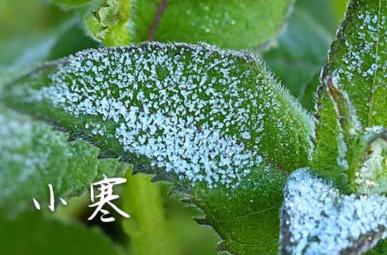 2025年小寒节气吃什么美食