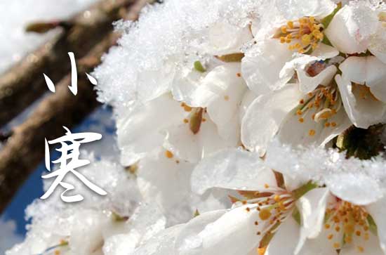 小寒节气祝福句子大全（通用60句）
