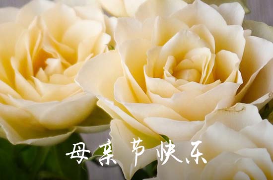 母亲节快乐朋友圈怎么发 母亲节快乐朋友圈句子