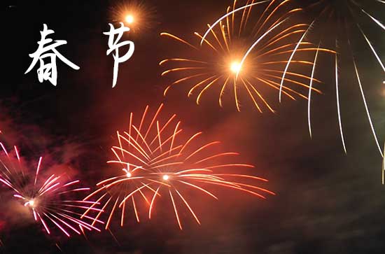 2025年什么时候过年