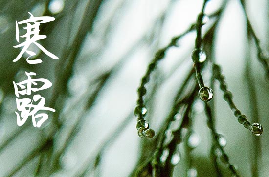 寒露是2022的几月几日几点
