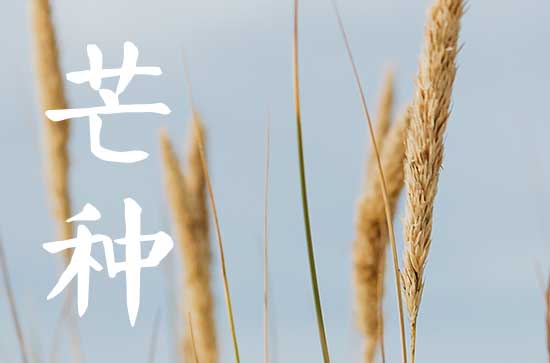 2025年芒种是几月几号几点几分几秒 芒种谚语