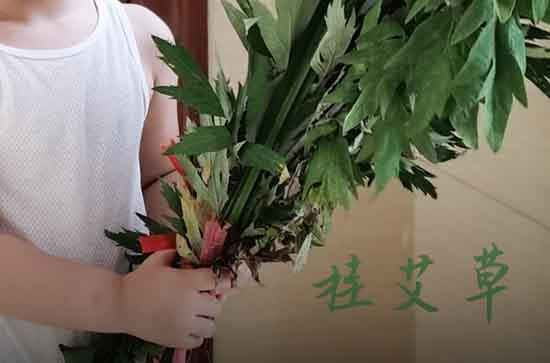 2025年几号端午节