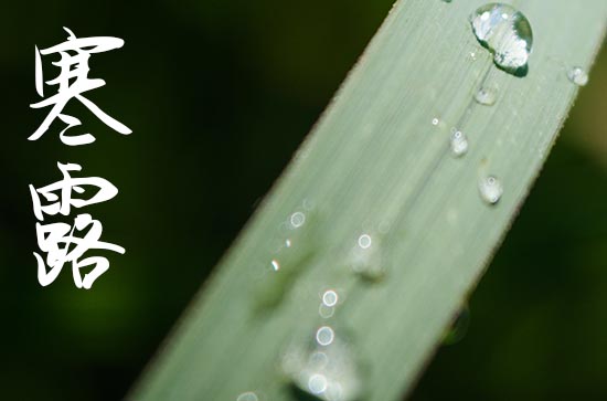 2023年寒露时间:10月8日21点15分23秒