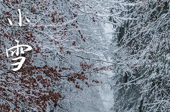 2024年小雪节气的天气特点 降雪开始