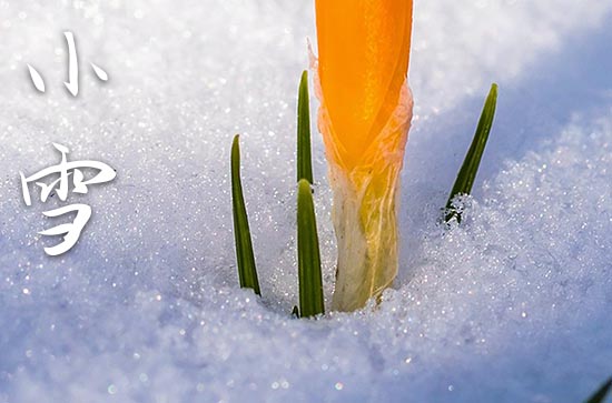 2023小雪节气具体时间表是哪一天