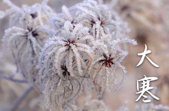 大寒节气打雷预示什么2024  2024的大寒是哪一天