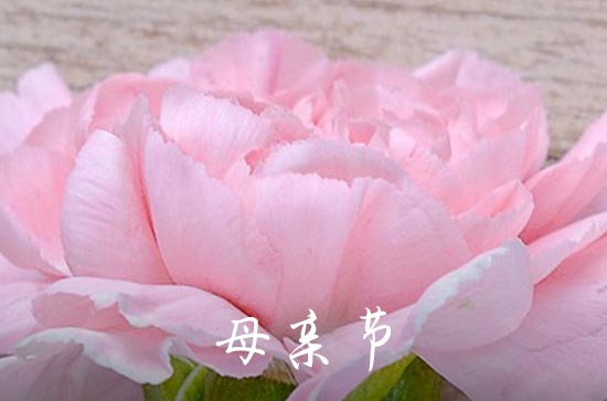 2023年精选母亲节祝福问候语集锦51句