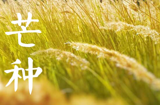 2023年芒种节气是几月几日