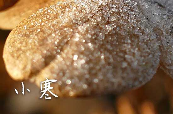 小寒送客户祝福语汇总（通用50句）