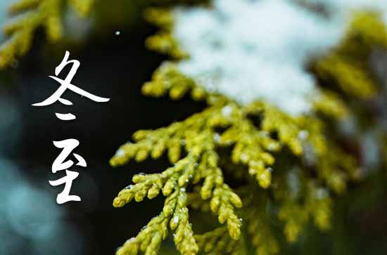 冬至说说文案短语 2023冬至祝福语简短暖心句子大全