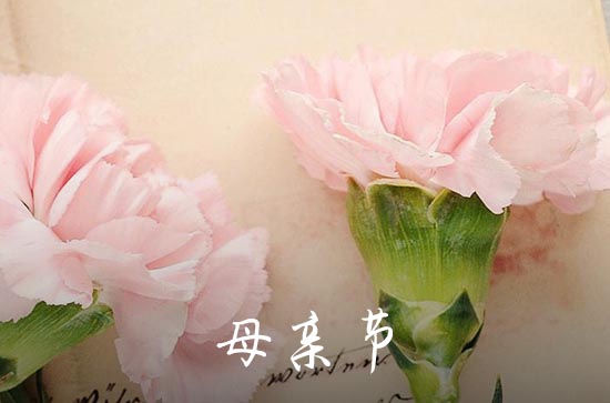 关于母亲节祝福语集锦2023