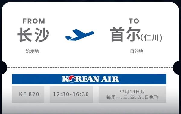 6月国内航空国际航班最新消息 2023国外航空国际航班计划 