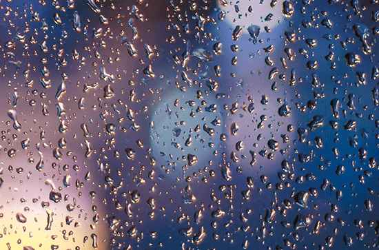 谷雨节气的特点和风俗2024 谷雨的文化内涵