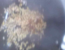 清蒸豆腐的做法窍门 清蒸豆腐怎么做