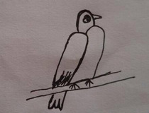 2怎么画小鸟 你学会了吗
