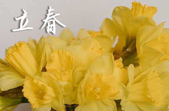 立春节气又称什么 立春的节俗有哪些