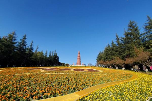 玉溪旅游必去景点有哪些 