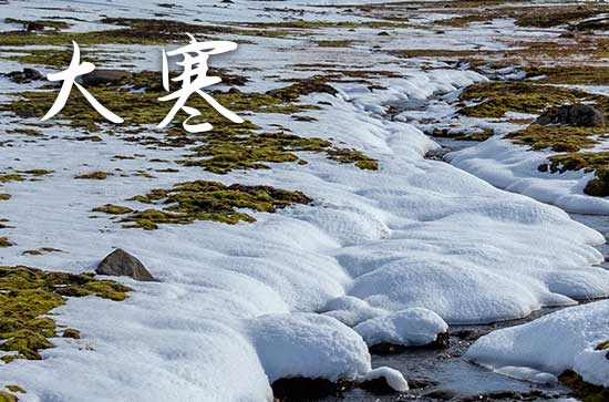 描写大寒节气的优美句子2024  关于大寒节气的古诗词有哪些