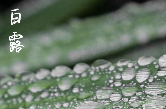 白露下雨有什么寓意 白露的养生原则