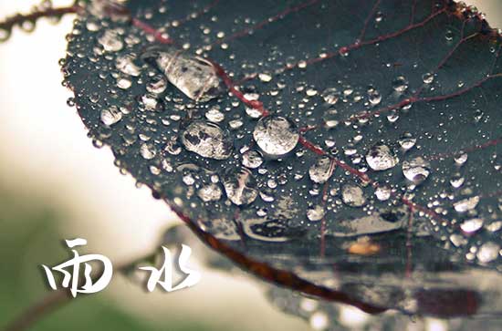 2024年雨水是几点几分几秒 2024年雨水在什么时候