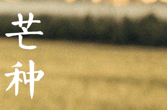 今年几月几日芒种2023
