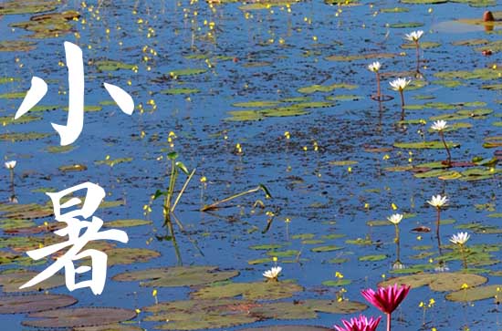 小暑节气的寓意和传统美食 小暑节气的朋友圈文案
