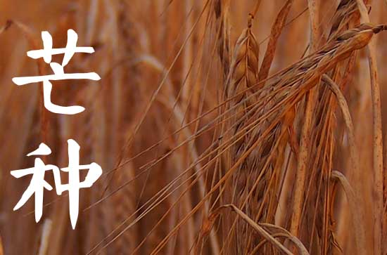 芒种一般是在阳历的几月