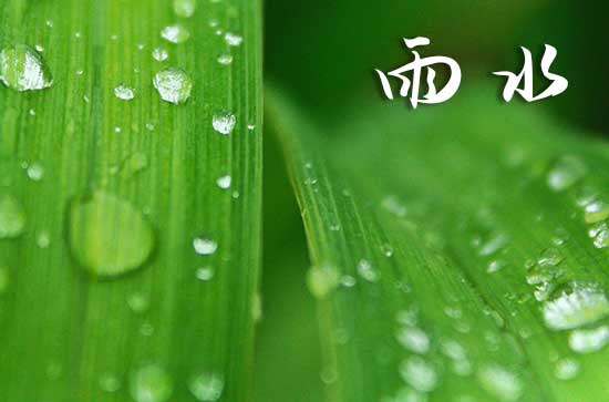 为什么雨水节气容易下雨2024 雨水养生要点