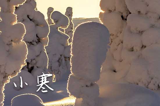 小寒节气祝福语录（精选40句）