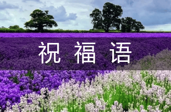 2025打动人心生日祝福语（集锦70句）